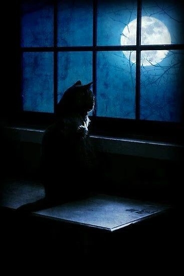 Longing