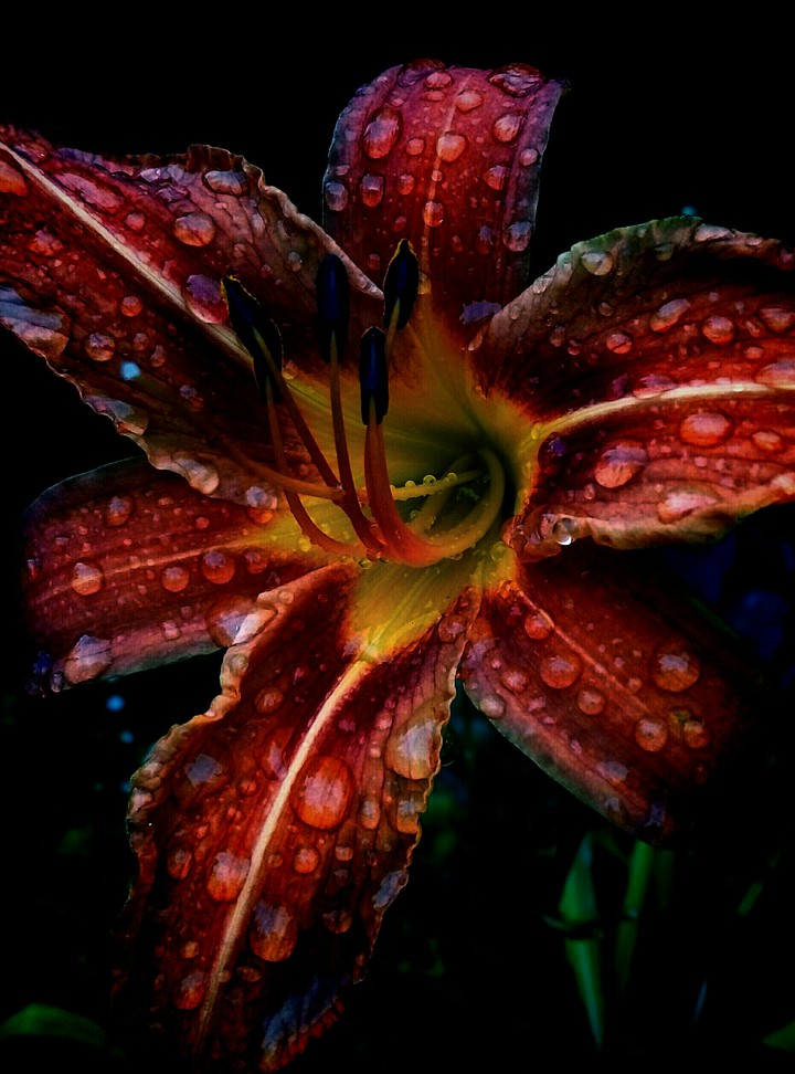 flower