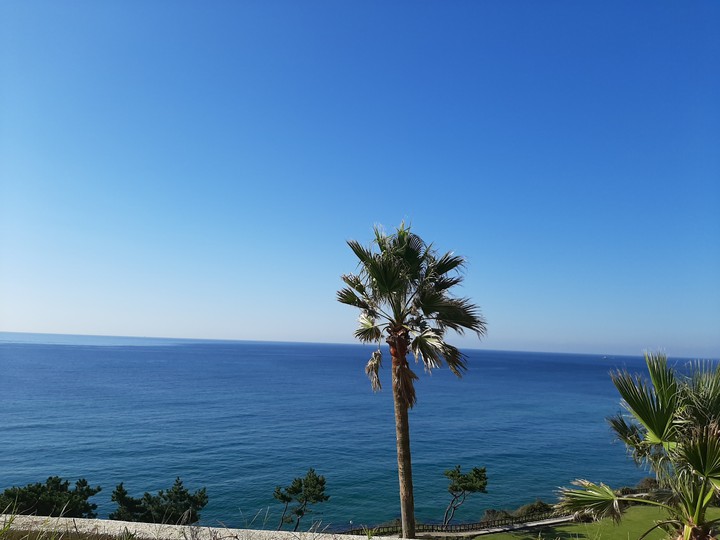 jeju
