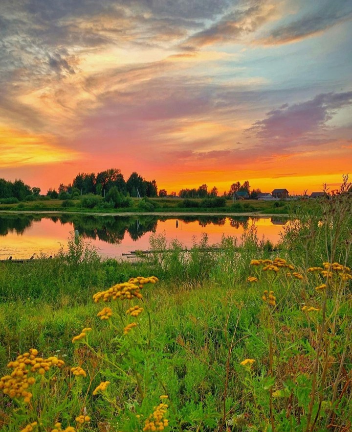 Nature's Beauty