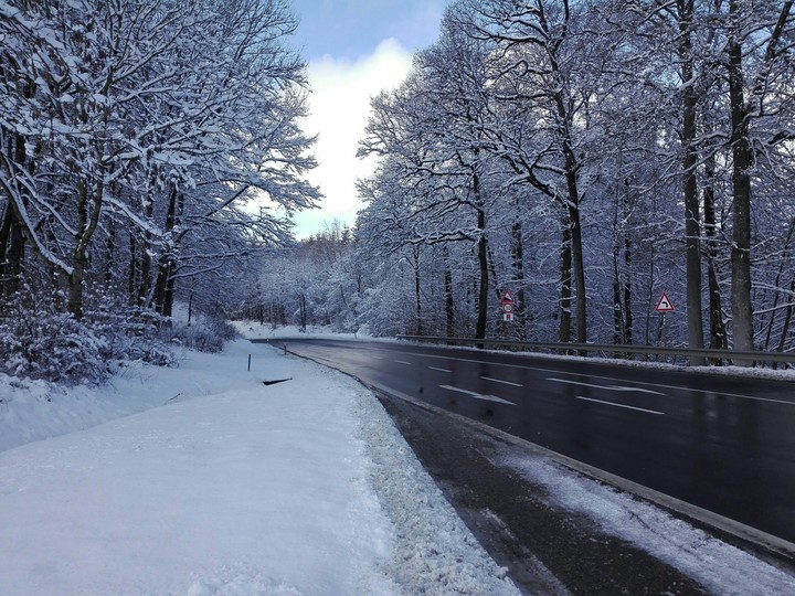 Winterland
