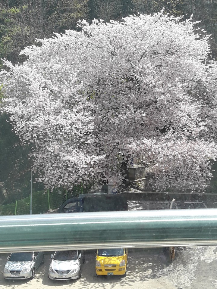 북구