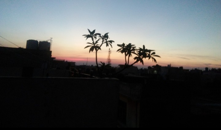 Evening vibes