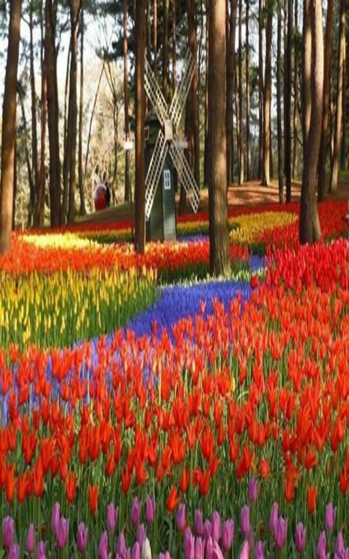 flower park