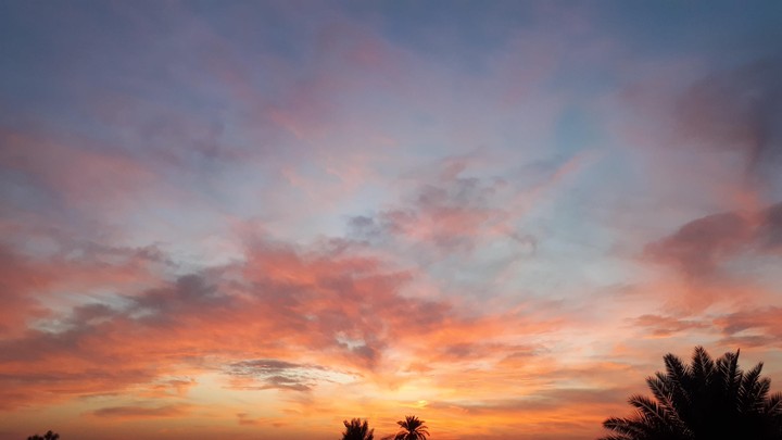 natural view