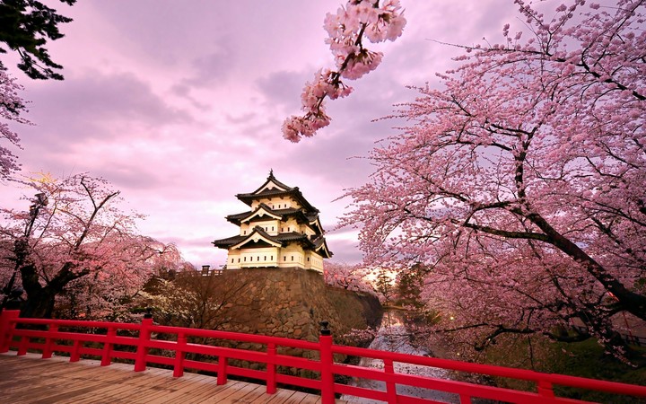 Pink Trees