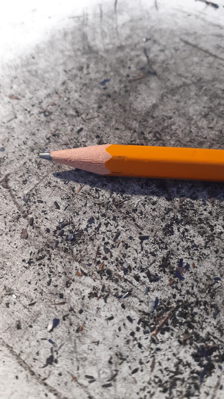 pasja