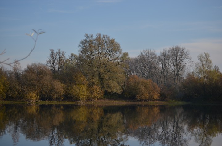 Reflection