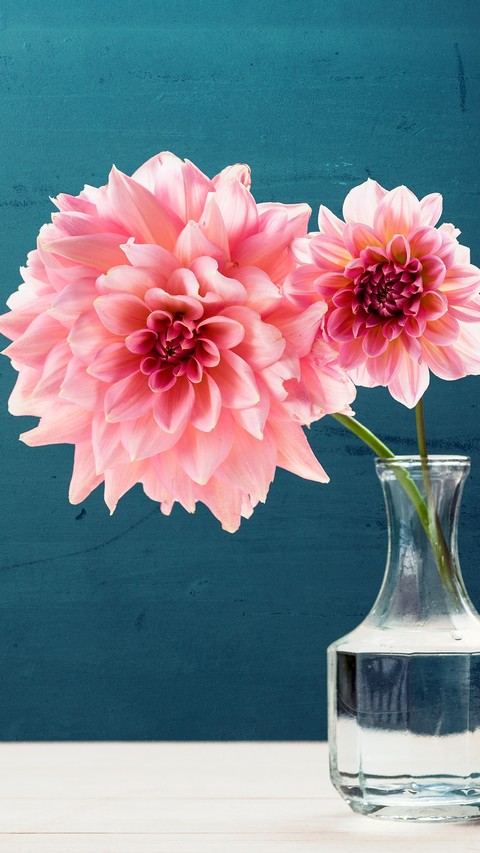 Pink Flowers