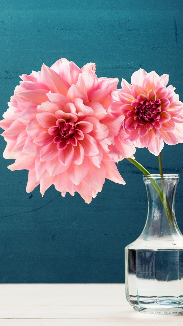 Pink Flowers