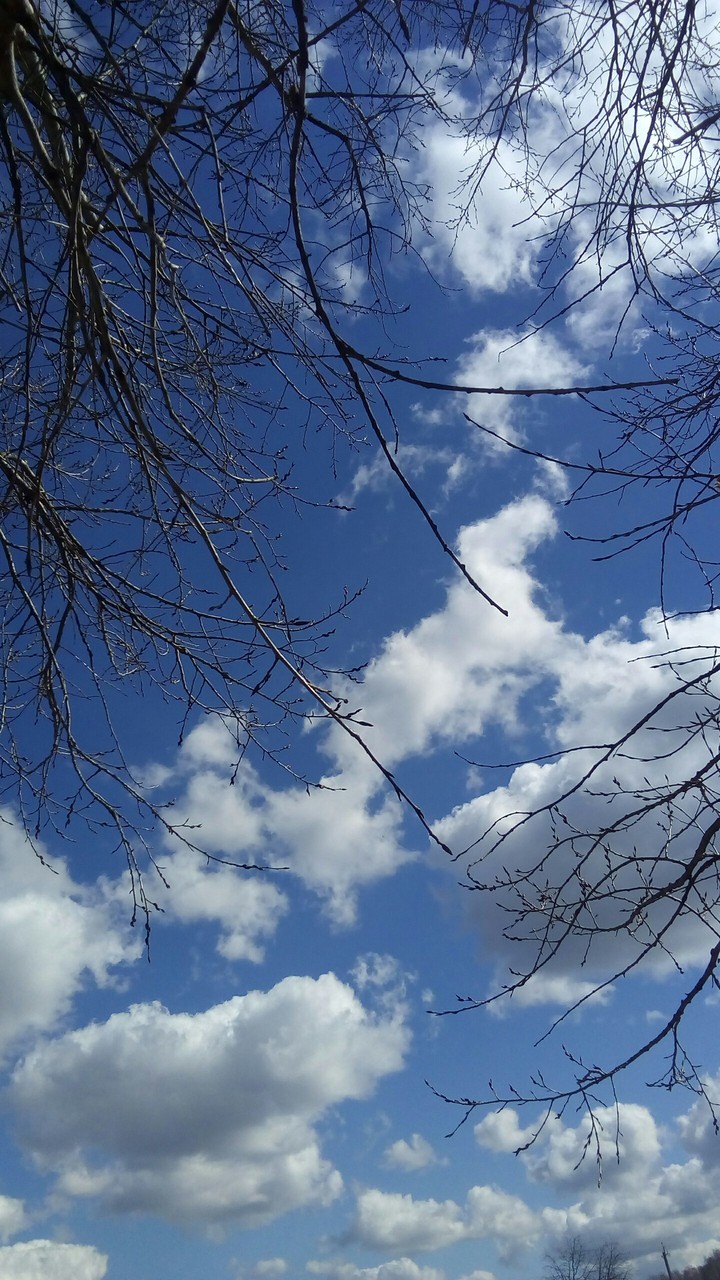 Blue sky