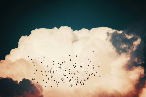 cloud