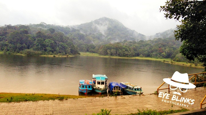 thekkady lake view