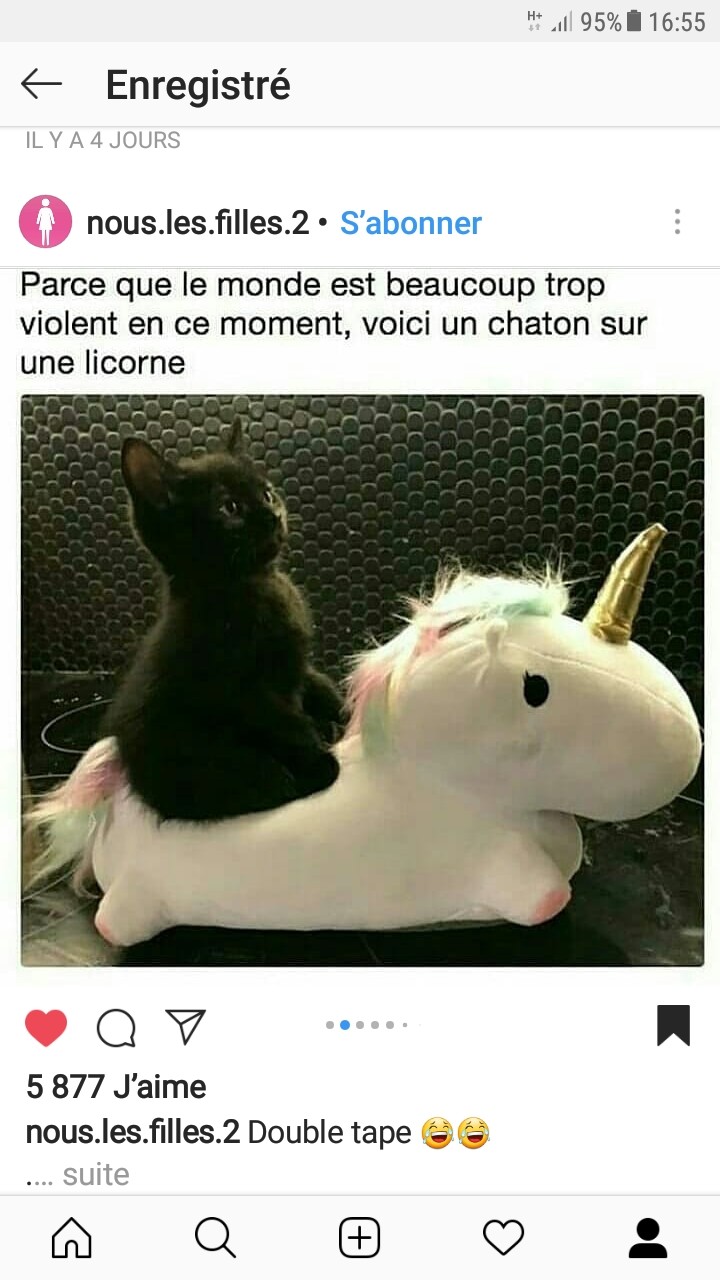 un chat sur un licorne
