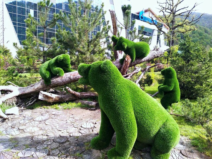 Bears