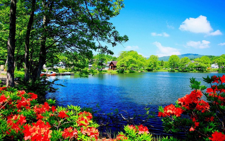 ❤️? nature beautiful❤️❤️