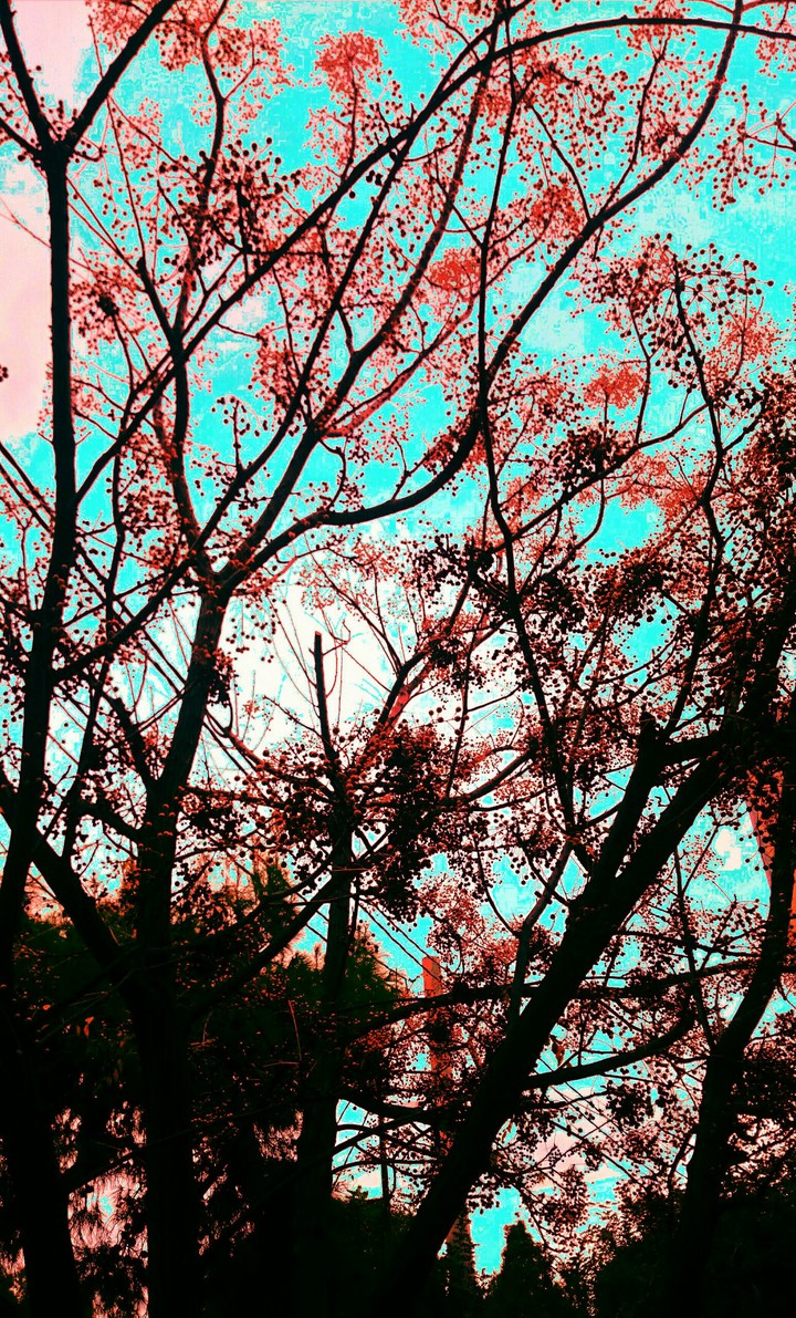 STAMATIOS
