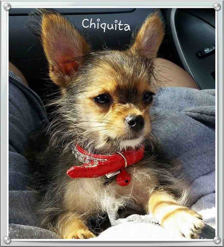 Chiquita
