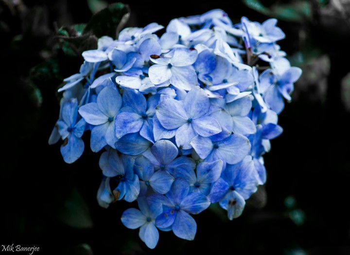 Winter Tale