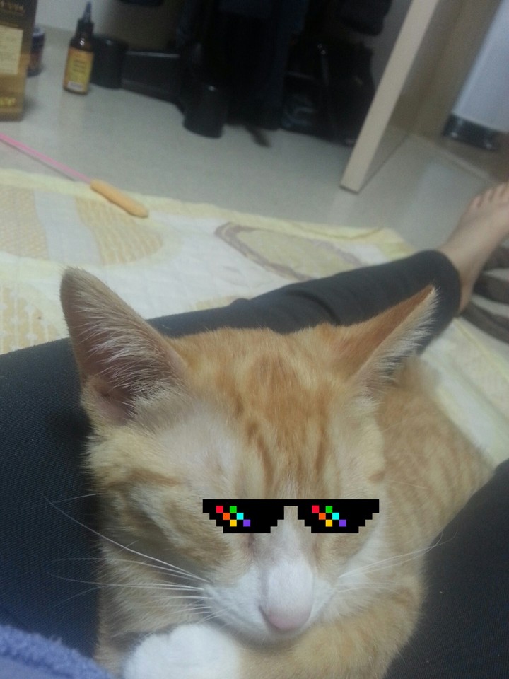 훗