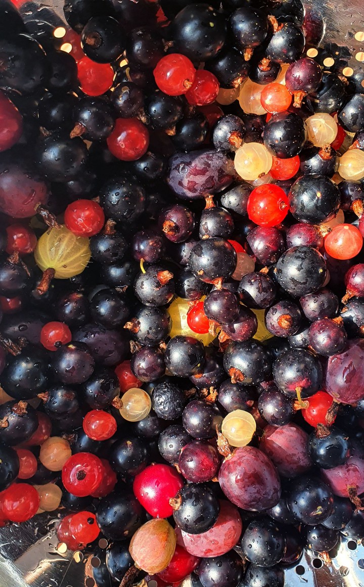 berry