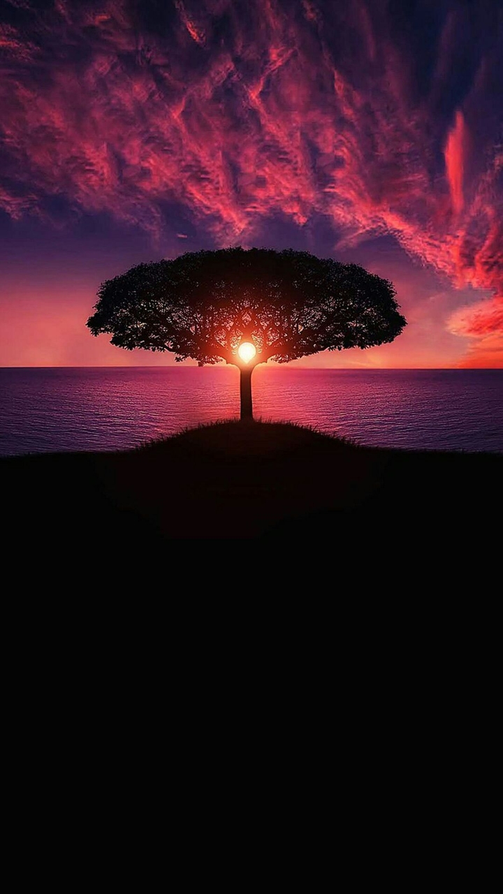 Beautiful  Scenery