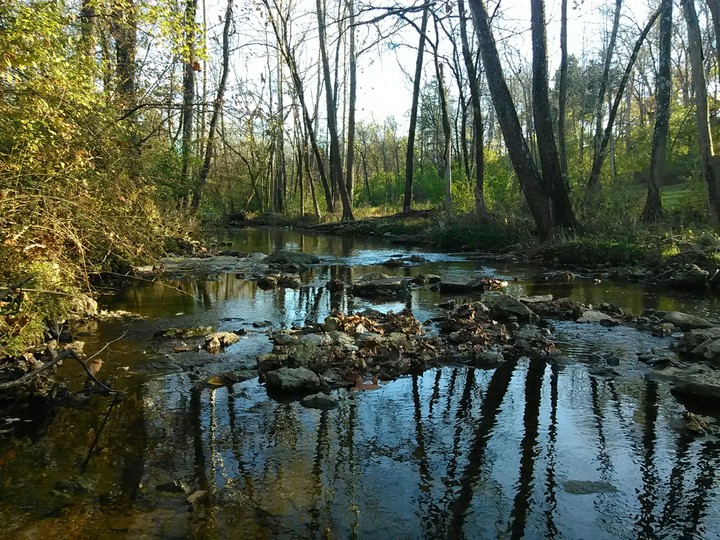 Creek Bed