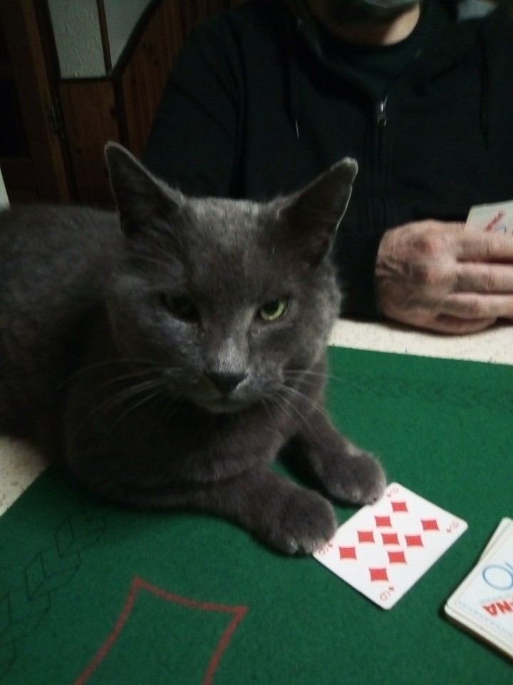 Poker duel