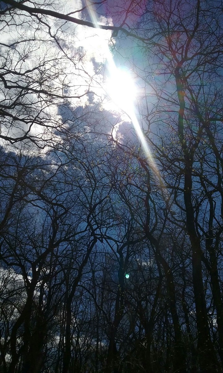 sun