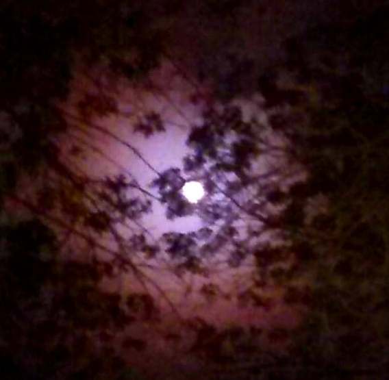 Moon from May 19th. 2014