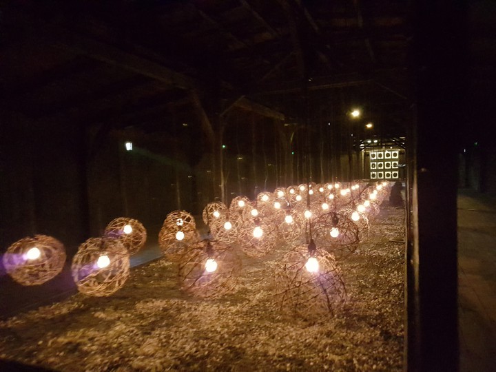 lights