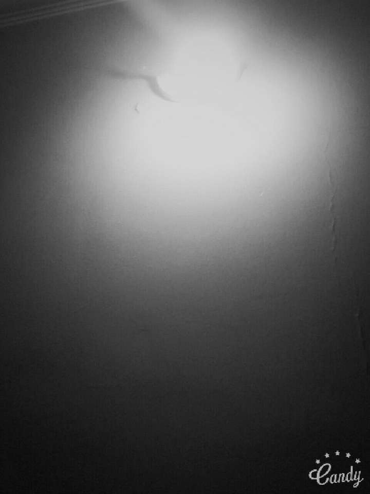 balvk andc white