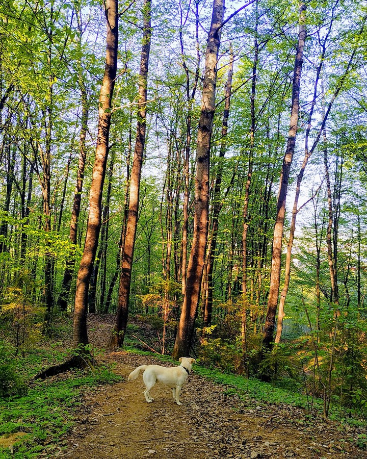 nature