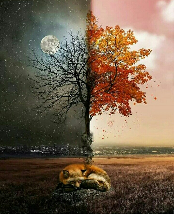 .