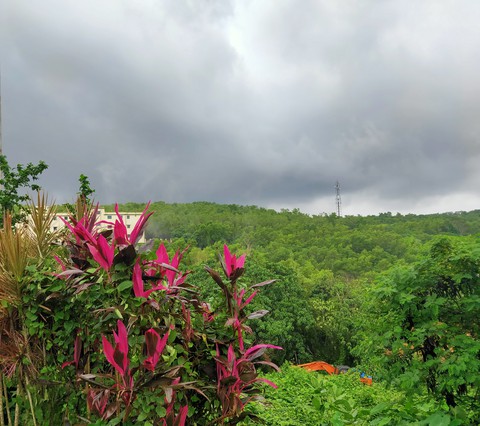 Colorful Valley
