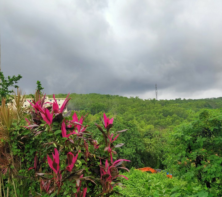 Colorful Valley