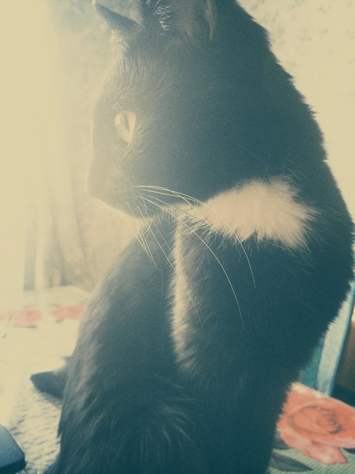 little lady