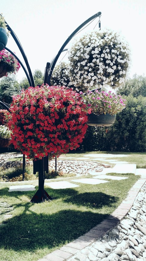 Hanging pots