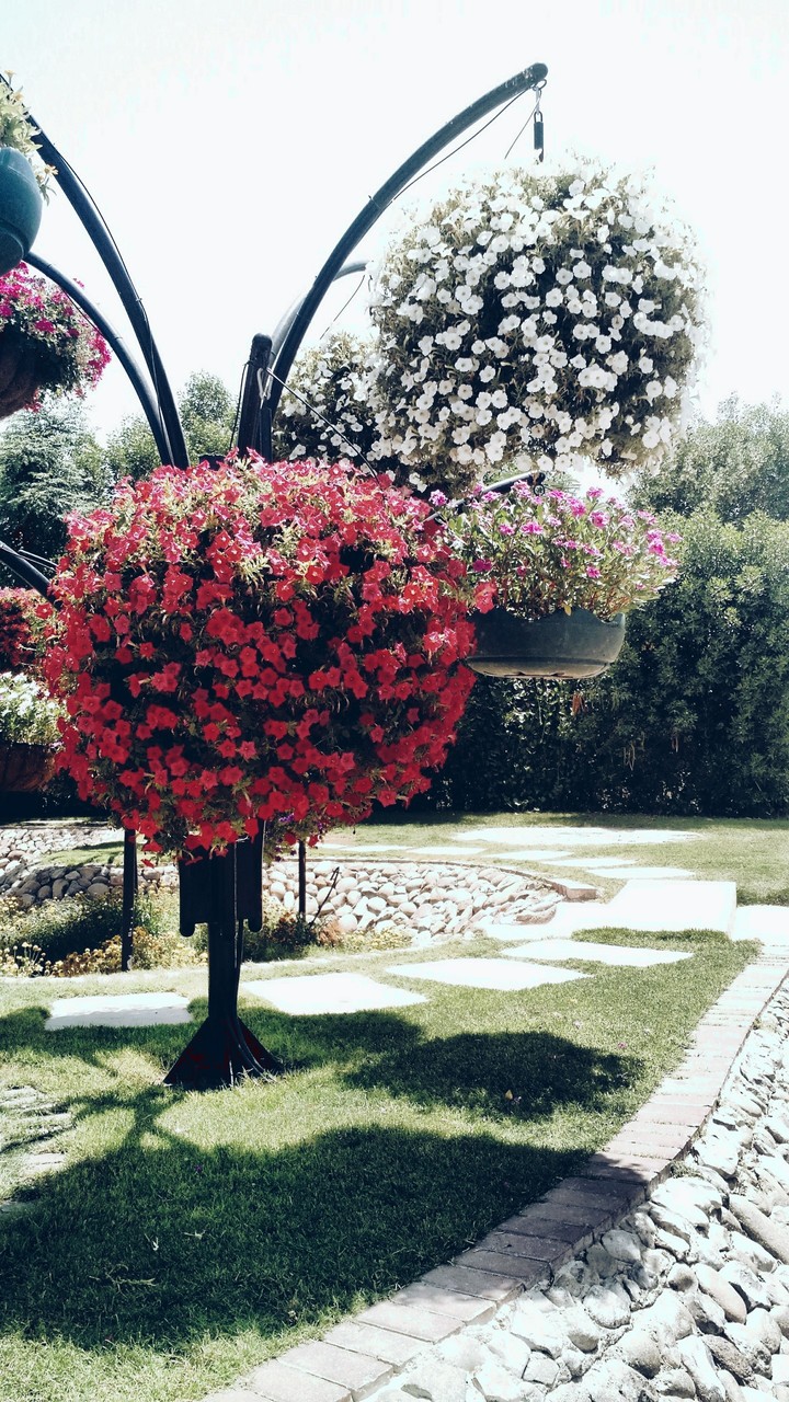 Hanging pots