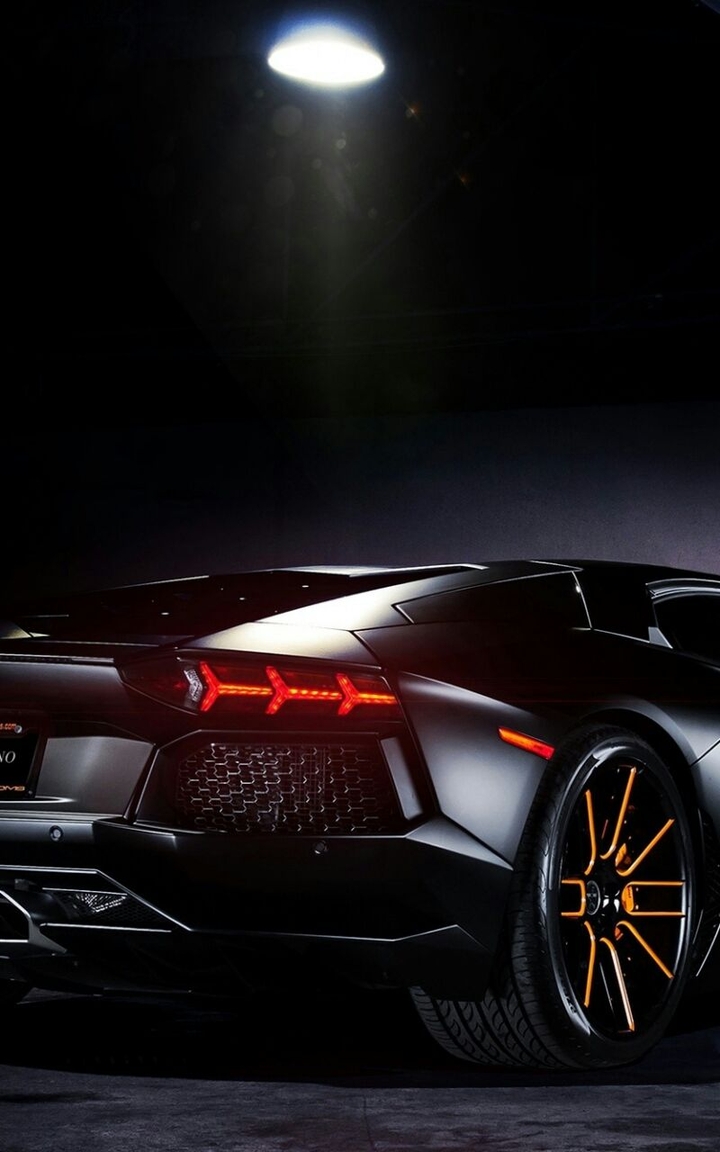 Bull