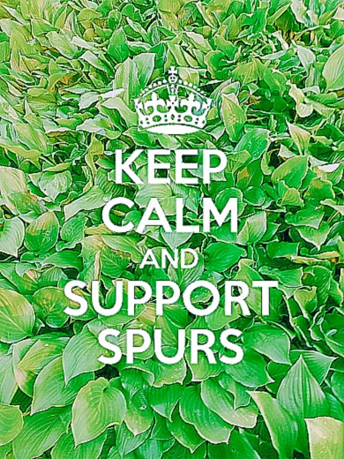 keep calm and support spurs