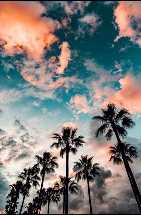 sky
