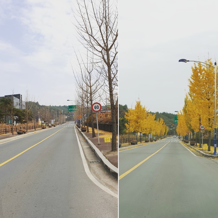 같은 곳! 다른 느낌!