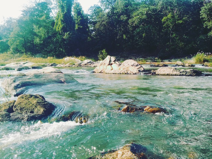 nature