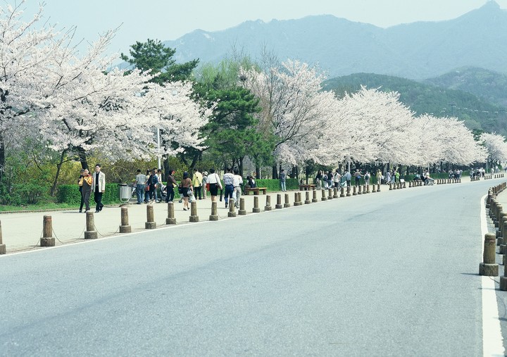 풍경이미지