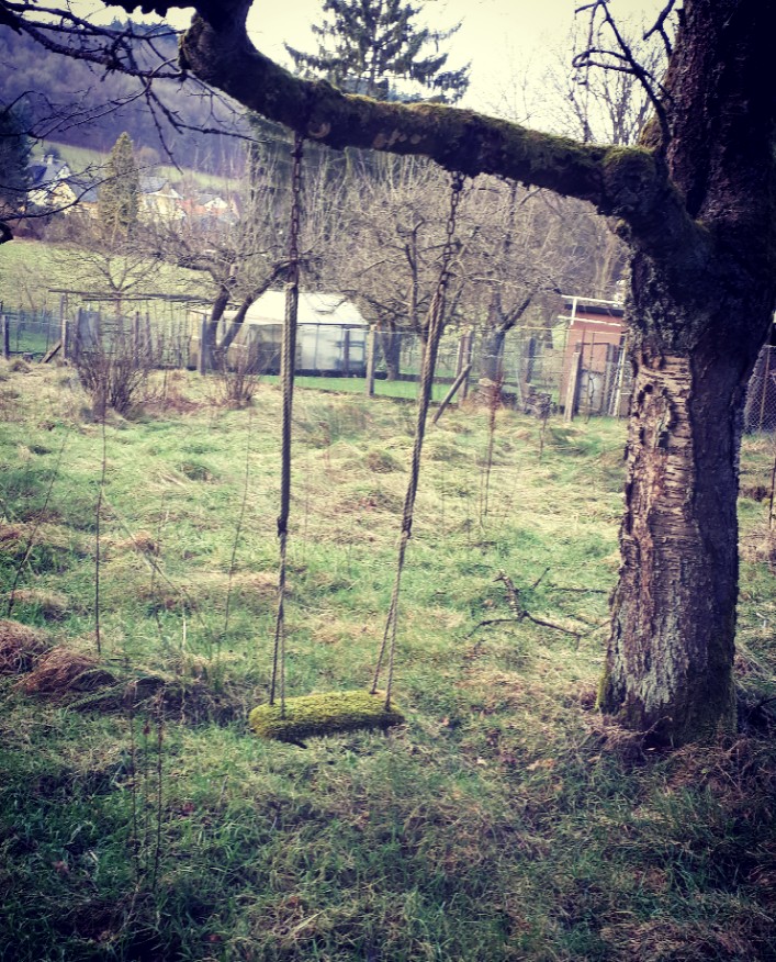 Schaukel im Wald