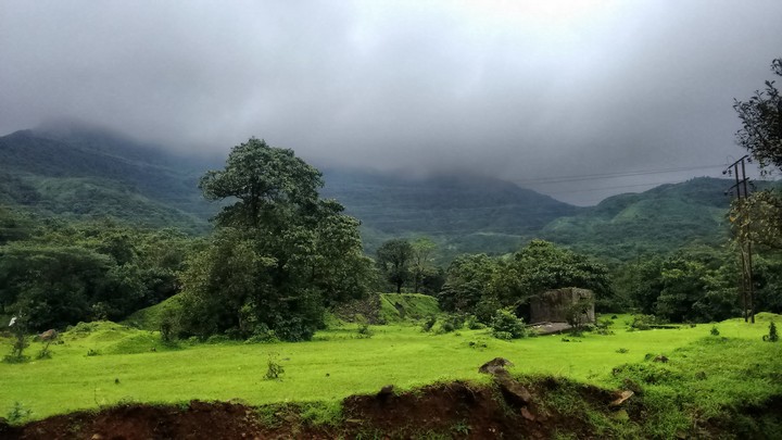निसर्ग