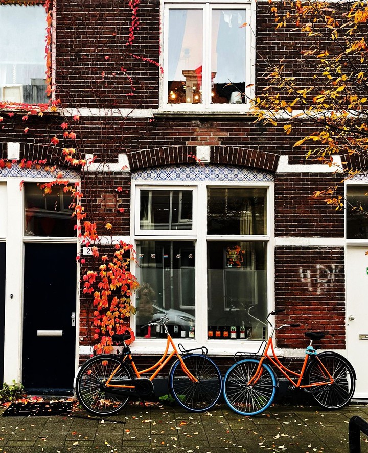 Bikes