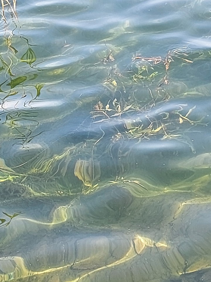 watter