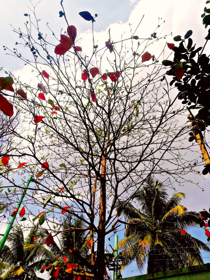 Namma Bengaluru
